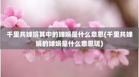 千里共婵娟其中的婵娟是什么意思(千里共婵娟的婵娟是什么意思呢)