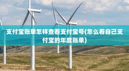 支付宝账单怎样查看支付宝号(怎么看自己支付宝的年度账单)