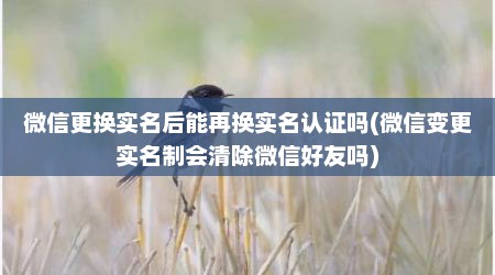 微信更换实名后能再换实名认证吗(微信变更实名制会清除微信好友吗)