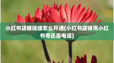 小红书店铺链接怎么开通(小红书店铺用小红书号还是电话)