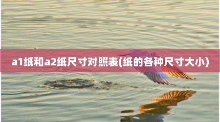 a1纸和a2纸尺寸对照表(纸的各种尺寸大小)