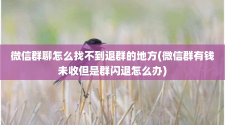 微信群聊怎么找不到退群的地方(微信群有钱未收但是群闪退怎么办)