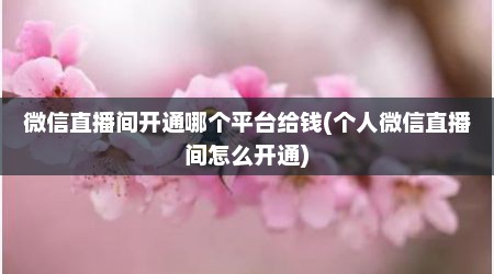微信直播间开通哪个平台给钱(个人微信直播间怎么开通)