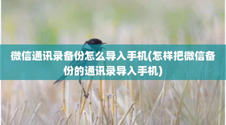 微信通讯录备份怎么导入手机(怎样把微信备份的通讯录导入手机)