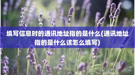 填写信息时的通讯地址指的是什么(通讯地址指的是什么该怎么填写)