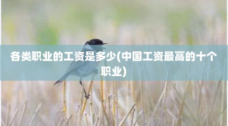 各类职业的工资是多少(中国工资最高的十个职业)