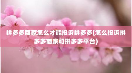 拼多多商家怎么才能投诉拼多多(怎么投诉拼多多商家和拼多多平台)