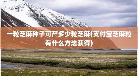 一粒芝麻种子可产多少粒芝麻(支付宝芝麻粒有什么方法获得)