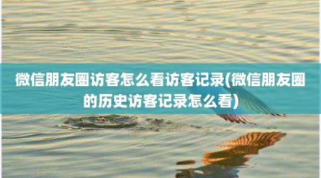 微信朋友圈访客怎么看访客记录(微信朋友圈的历史访客记录怎么看)