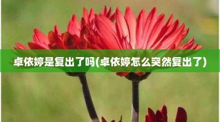 卓依婷是复出了吗(卓依婷怎么突然复出了)