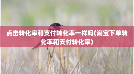 点击转化率和支付转化率一样吗(淘宝下单转化率和支付转化率)