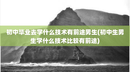 初中毕业去学什么技术有前途男生(初中生男生学什么技术比较有前途)