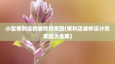 小型便利店的装修效果图(便利店装修设计效果图大全集)
