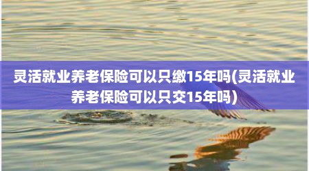 灵活就业养老保险可以只缴15年吗(灵活就业养老保险可以只交15年吗)