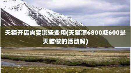 天猫开店需要哪些费用(天猫满6800减600是天猫做的活动吗)