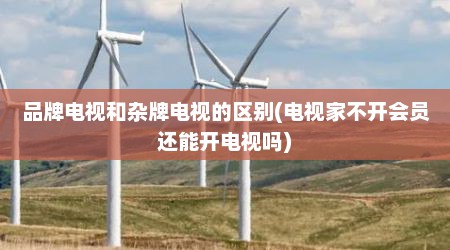 品牌电视和杂牌电视的区别(电视家不开会员还能开电视吗)