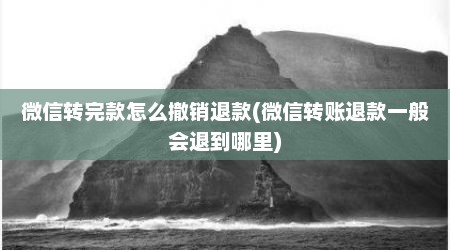 微信转完款怎么撤销退款(微信转账退款一般会退到哪里)