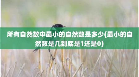 所有自然数中最小的自然数是多少(最小的自然数是几到底是1还是0)