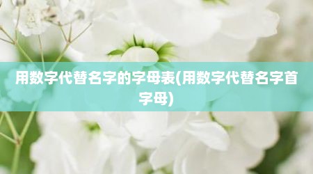 用数字代替名字的字母表(用数字代替名字首字母)