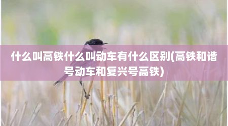 什么叫高铁什么叫动车有什么区别(高铁和谐号动车和复兴号高铁)