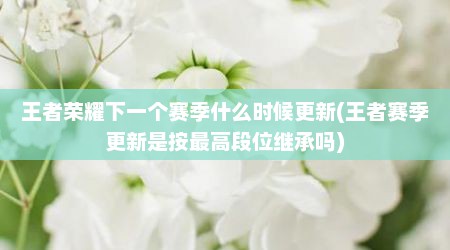 王者荣耀下一个赛季什么时候更新(王者赛季更新是按最高段位继承吗)