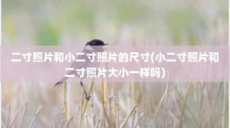 二寸照片和小二寸照片的尺寸(小二寸照片和二寸照片大小一样吗)