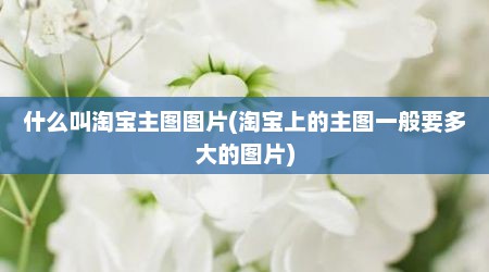 什么叫淘宝主图图片(淘宝上的主图一般要多大的图片)