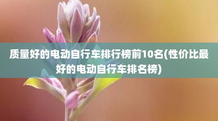 质量好的电动自行车排行榜前10名(性价比最好的电动自行车排名榜)