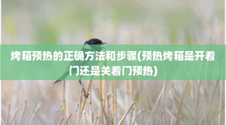 烤箱预热的正确方法和步骤(预热烤箱是开着门还是关着门预热)