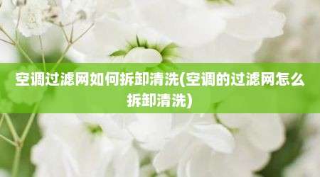 空调过滤网如何拆卸清洗(空调的过滤网怎么拆卸清洗)