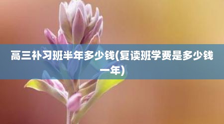 高三补习班半年多少钱(复读班学费是多少钱一年)