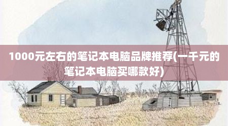 1000元左右的笔记本电脑品牌推荐(一千元的笔记本电脑买哪款好)