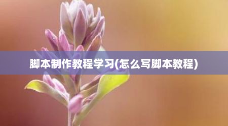 脚本制作教程学习(怎么写脚本教程)