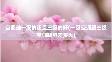 空调选一级的还是三级的好(一级空调跟三级空调耗电差多大)