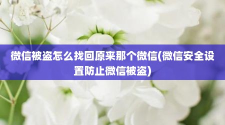 微信被盗怎么找回原来那个微信(微信安全设置防止微信被盗)