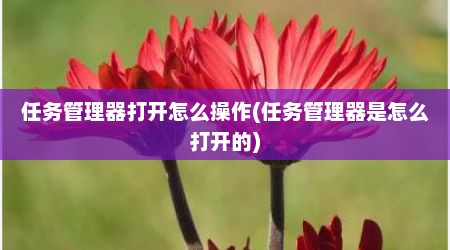 任务管理器打开怎么操作(任务管理器是怎么打开的)