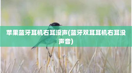 苹果蓝牙耳机右耳没声(蓝牙双耳耳机右耳没声音)