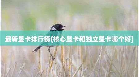 最新显卡排行榜(核心显卡和独立显卡哪个好)