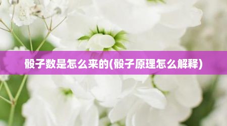 骰子数是怎么来的(骰子原理怎么解释)