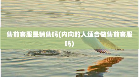 售前客服是销售吗(内向的人适合做售前客服吗)