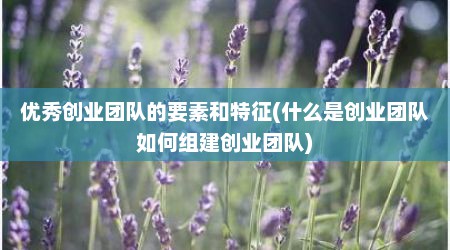 优秀创业团队的要素和特征(什么是创业团队如何组建创业团队)