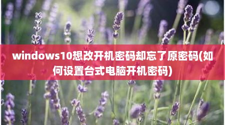 windows10想改开机密码却忘了原密码(如何设置台式电脑开机密码)