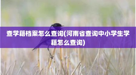 查学籍档案怎么查询(河南省查询中小学生学籍怎么查询)