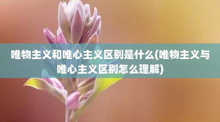 唯物主义和唯心主义区别是什么(唯物主义与唯心主义区别怎么理解)