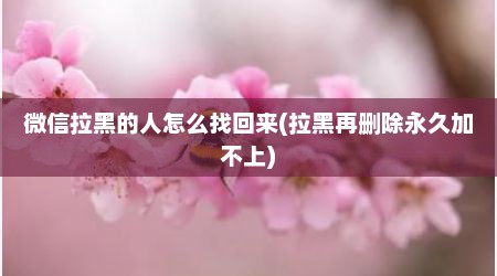 微信拉黑的人怎么找回来(拉黑再删除永久加不上)