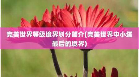 完美世界等级境界划分简介(完美世界中小塔最后的境界)