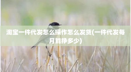 淘宝一件代发怎么操作怎么发货(一件代发每月能挣多少)