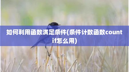 如何利用函数满足条件(条件计数函数countif怎么用)