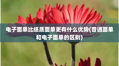 电子面单比纸质面单更有什么优势(普通面单和电子面单的区别)