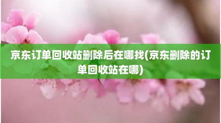 京东订单回收站删除后在哪找(京东删除的订单回收站在哪)